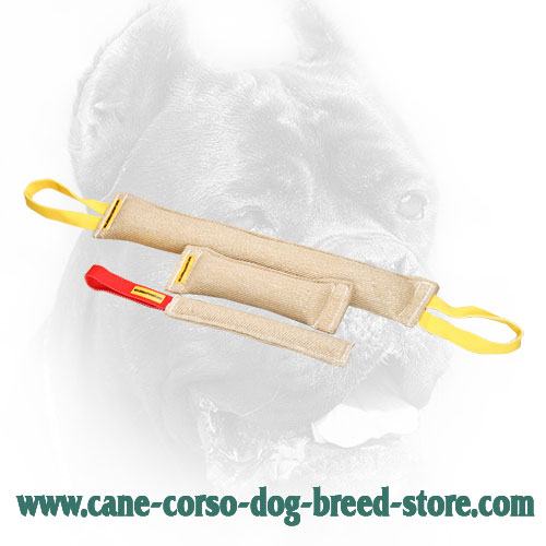 Eco-Friendly Cane Corso Bite Training Set for Basic Training