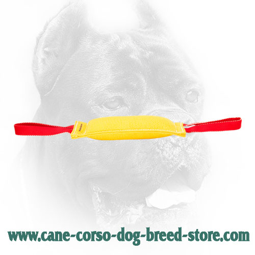 French Linen Cane Corso Bite Tug for Dog Training