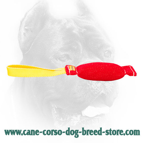 Strong French Linen Cane Corso Bite Tug for Dog Training