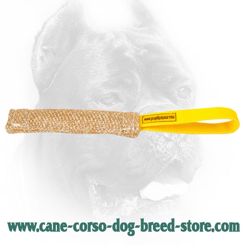 Jute Cane Corso Bite Tug with Stitched Handle