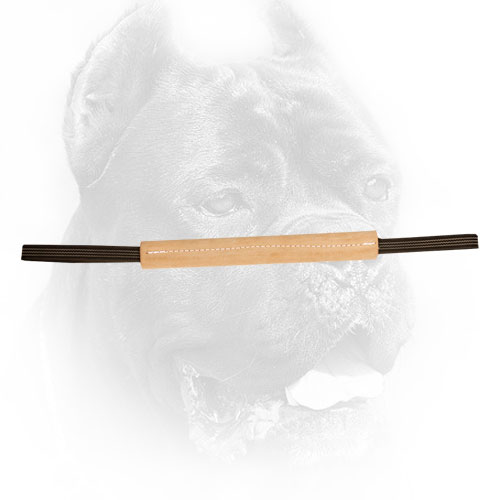 Leather Cane Corso Bite Tug for Puppy Training