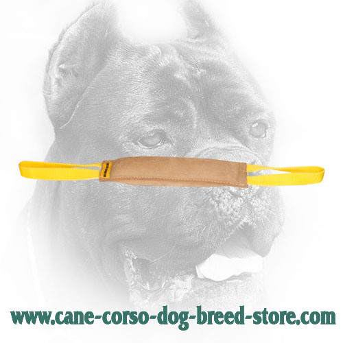 Cane Corso Bite Tug for Dog Training