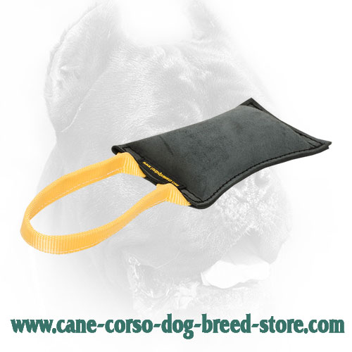 Soft Cane Corso Bite Tug with Comfy Handle