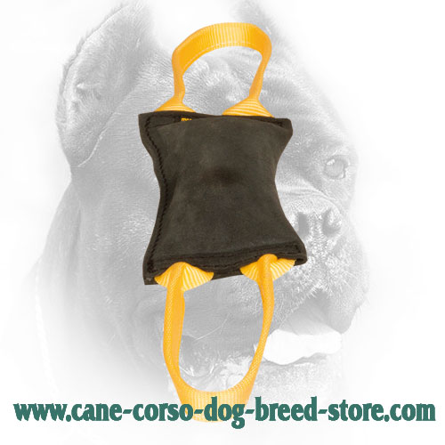 Leather Cane Corso Bite Tug for Young Dog Training