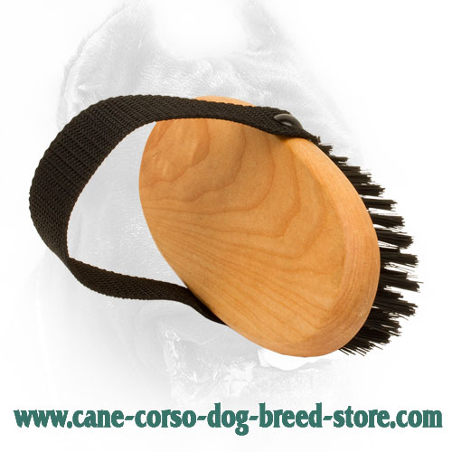 Comfortable to Hold Cane Corso Brush for Daily Grooming