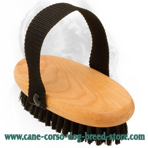 Cane Corso Brush with Strong Handle for Comfy Use