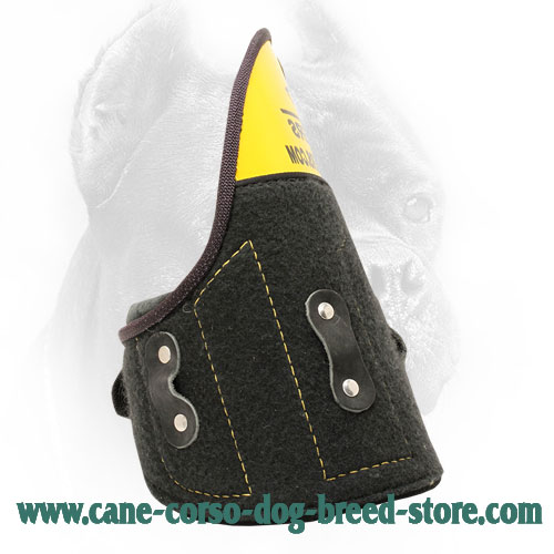 Shoulder Protector to Avoid Traumas