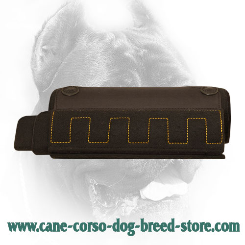 Cane Corso Bite Builder for Dog Training