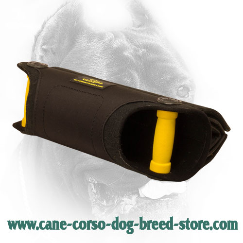 Cane Corso Bite Builder with Padded Handles