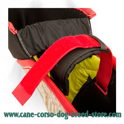Easily Adjustable Strap on Durable Cane Corso Bite Sleeve 