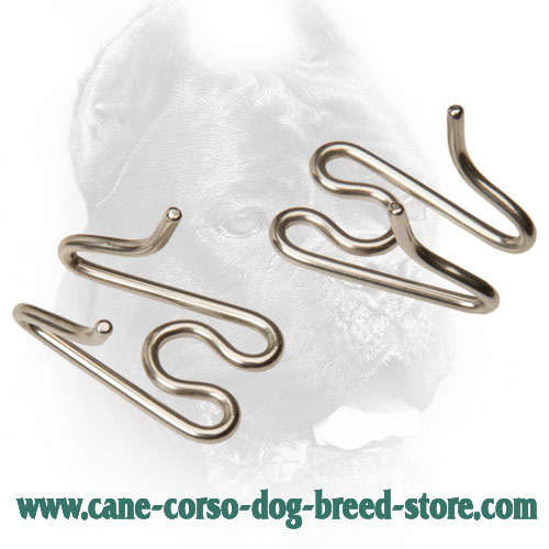 Solid Links for Cane Corso Pinch Collar