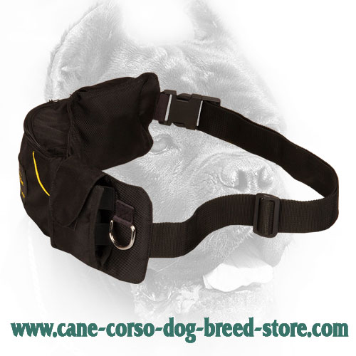 Nylon Dog Training Pouch for Feeding Your Cane Corso During Training
