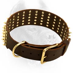 Widest leather dog collar