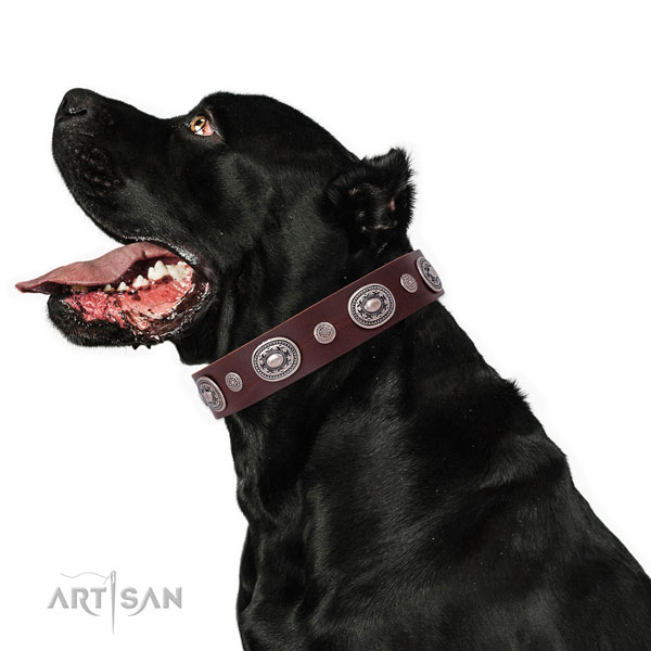 Reliable buckle and D-ring on genuine leather dog collar for stylish walking