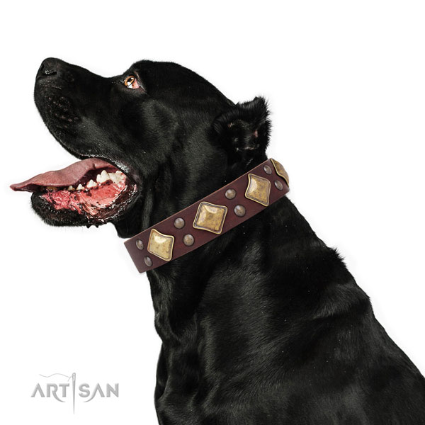 Handy use adorned dog collar made of durable natural leather