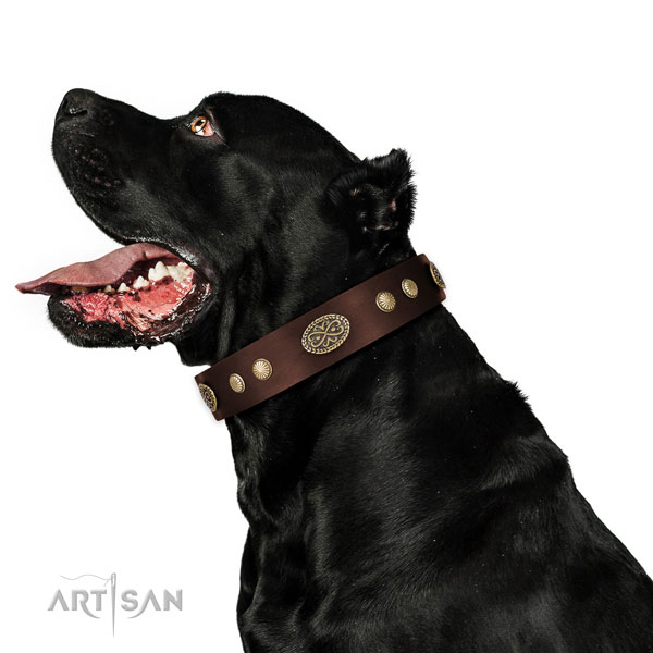Strong D-ring on full grain natural leather dog collar for basic training
