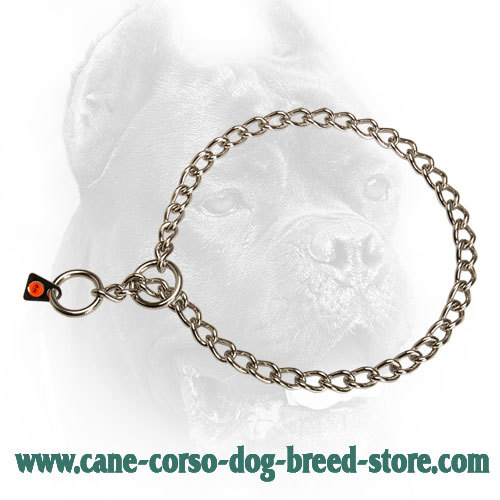 Cane Corso Choke Collar for Obedience Training