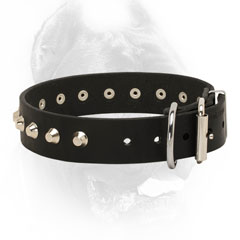 Leather Cane Corso Collar with Silver-Like Hardware