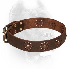 Brown Leather Cane Corso Collar with Punched Flowers