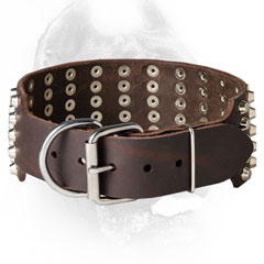 Leather Cane Corso Collar with Rustproof Buckle