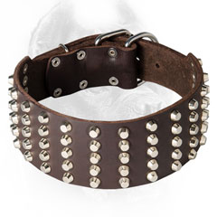 Strong Cane Corso Collar with Silver-Like Studs
