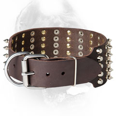 Decorated Cane Corso Collar with Super Strong Buckle