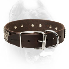 Cane Corso Collar with Nickel Plated Fittings
