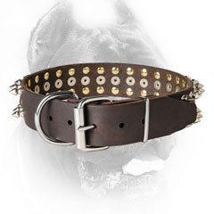 Wide Leather Cane Corso Collar with Reliable Buckle