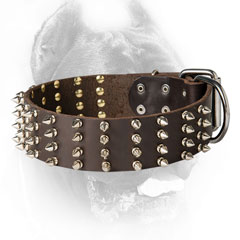 Cane Corso Collar with Nickel Plated Decorations