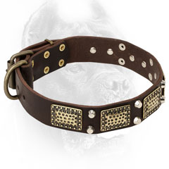 Leather Cane Corso Collar with Nickel and Brass Decorations