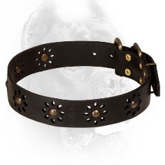 Black Cane Corso Collar for Walking in Style