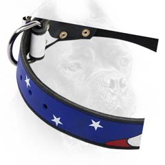 Everyday excellent dog collar