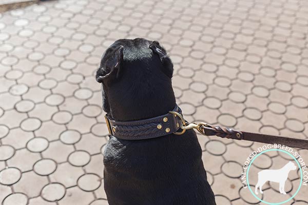 Cane Corso leather collar with durable hardware