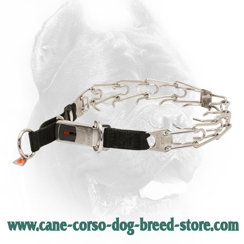 HS Stainless Steel Cane Corso Pinch Collar with Click Lock System