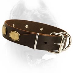 Superior leather dog collar