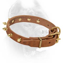 Custom made leather dog collar