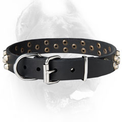 Custom made leather dog collar for Cane Corsos