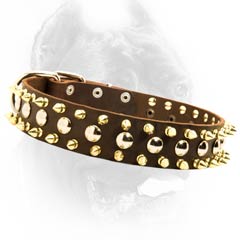 Spiked & studded leather dog collar
