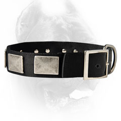 Personalized nylon collar