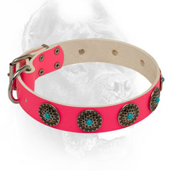 Cane Corso collar pink studded with pretty circles