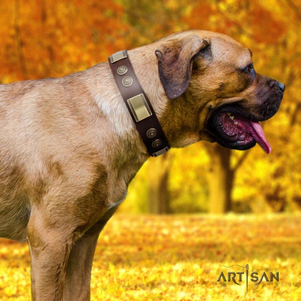 Cane Corso studded natural genuine leather collar with strong hardware