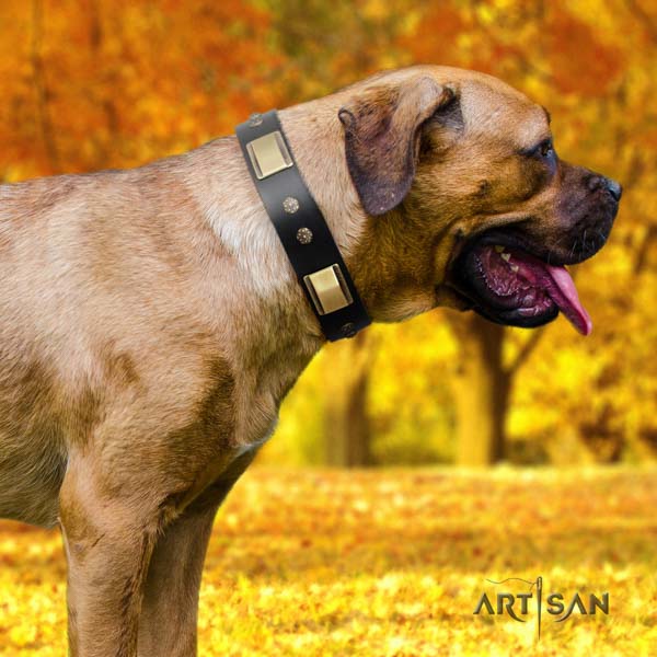 Cane Corso decorated full grain genuine leather collar with reliable hardware