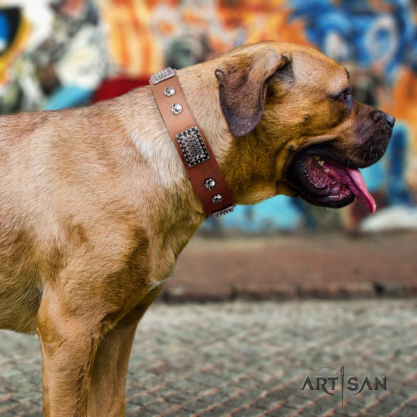 Cane Corso embellished full grain natural leather collar with reliable fittings