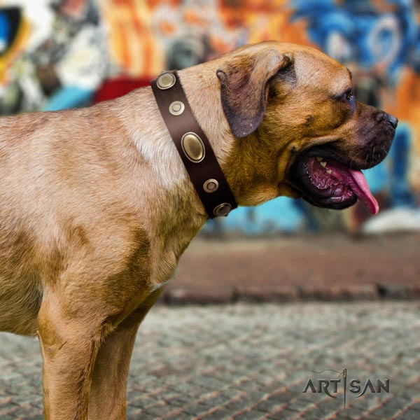 Cane Corso decorated leather collar with rust resistant buckle
