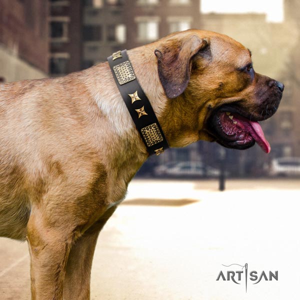 Cane Corso decorated full grain genuine leather collar with durable D-ring