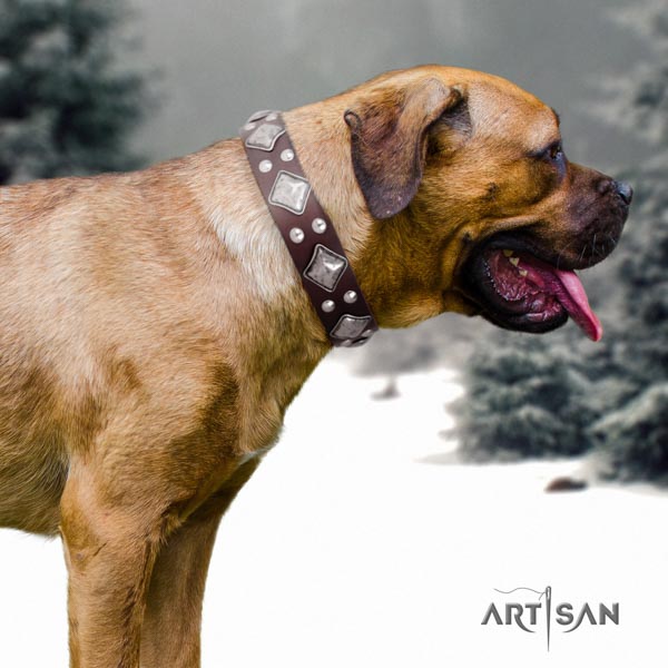 Cane Corso leather collar with corrosion resistant D-ring