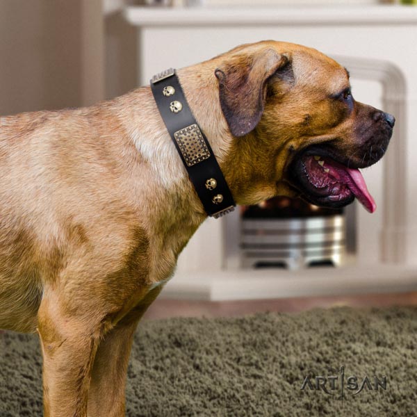 Cane Corso decorated genuine leather collar with durable buckle