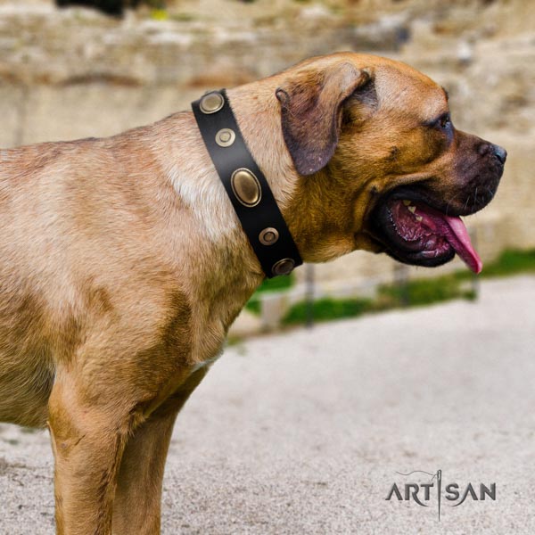 Cane Corso embellished full grain genuine leather collar with strong hardware