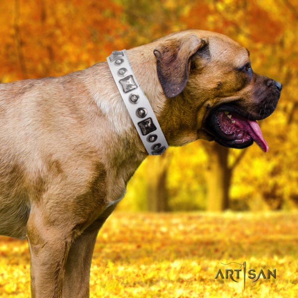 Cane Corso full grain leather collar with durable D-ring