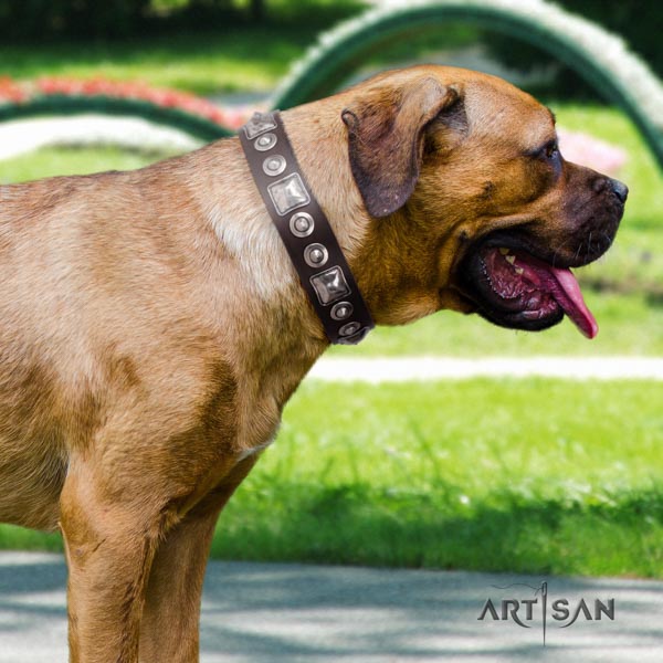 Cane Corso natural genuine leather collar with reliable buckle